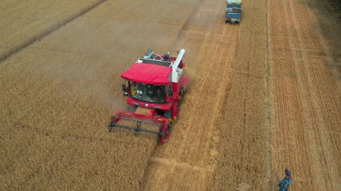 小麥機的操作技術(shù)要求涉及多個方面 1715439307293180.png